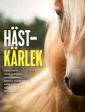 Hästkärlek (e-bok) av Nina Lekander, Sofie Sare