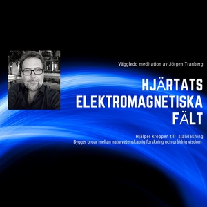 Hjärtats elektromagnetiska kraftfält - meditati
