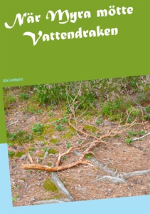 När Myra mötte Vattendraken (e-bok) av Aila Lun