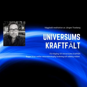 Universums kraftfält - meditation (ljudbok) av