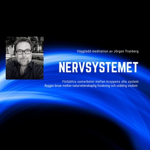 Nervsystemet - meditation (ljudbok) av Jörgen T