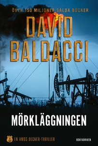 Mörkläggningen (e-bok) av