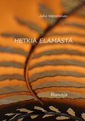 Hetkiä elämästä (e-bok) av Juha Vepsäläinen