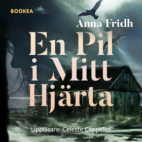 En pil i mitt hjärta (ljudbok) av Anna Fridh