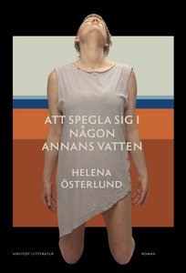 Att spegla sig i någon annans vatten (e-bok) av