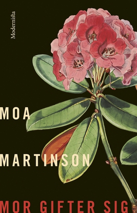 Mor gifter sig (e-bok) av Moa Martinson