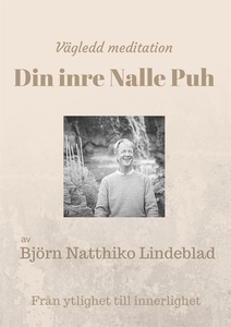 Din inre Nalle Puh (ljudbok) av Björn Natthiko
