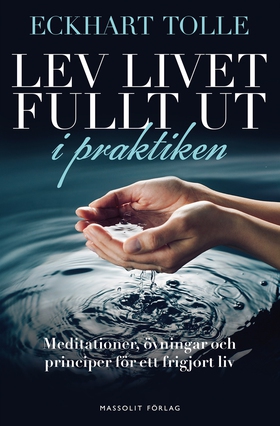 Lev livet fullt ut i praktiken : meditationer, 