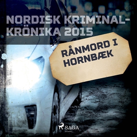 Rånmord i Hornbæk (ljudbok) av Diverse