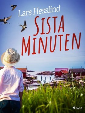 Sista Minuten (e-bok) av Lars Hesslind
