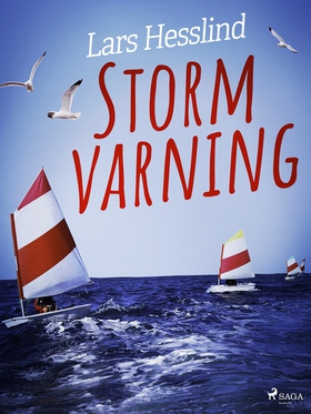 Stormvarning (e-bok) av Lars Hesslind