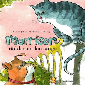 Morrison räddar en kattunge (ljudbok) av Sanna 