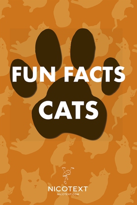 Fun Facts Cats (e-bok) av Nicotext Publishing