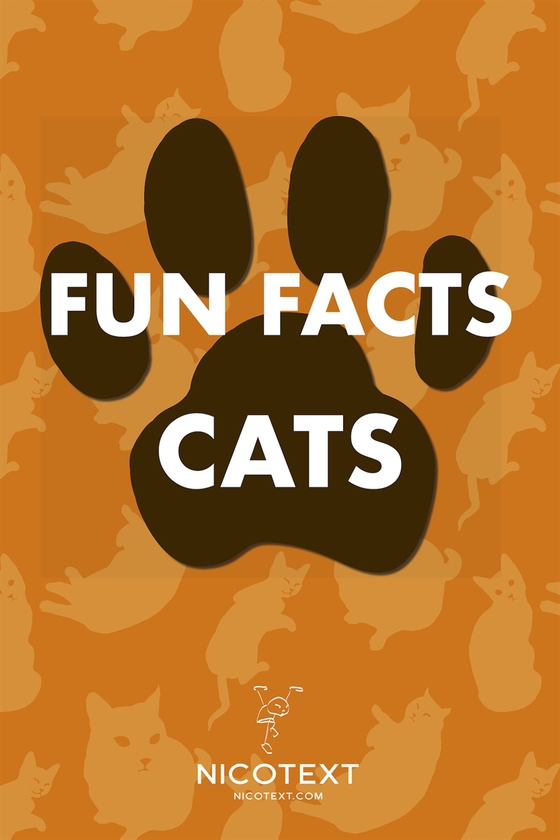 Fun Facts Cats