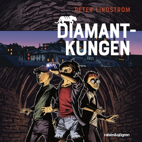 Diamantkungen (ljudbok) av Peter Lindström