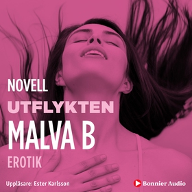 Utlykten : en novell ur Begär (ljudbok) av Malv