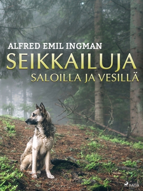 Seikkailuja saloilla ja vesillä (e-bok) av Alfr