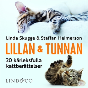 Lillan och Tunnan: 20 kärleksfulla kattberättel