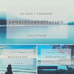 En paus i vardagen (ljudbok) av Lina Molander