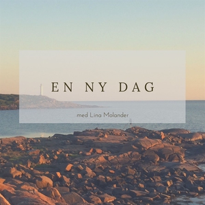 En ny dag (ljudbok) av Lina Molander