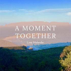 A moment together (ljudbok) av Lina Molander