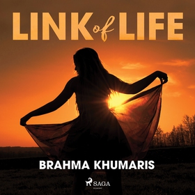 Link of Life (ljudbok) av Brahma Khumaris