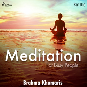 Meditation for Busy People – Part One (ljudbok)