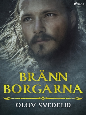 Bränn borgarna (e-bok) av Olov Svedelid