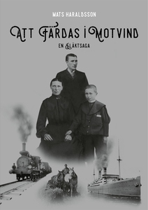 Att färdas i motvind (e-bok) av Mats Haraldsson