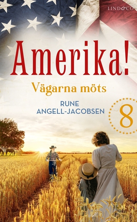 Vägarna möts (e-bok) av Rune Angell-Jacobsen