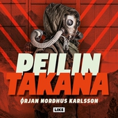 Peilin takana