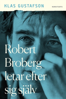 Robert Broberg letar efter sig själv (e-bok) av