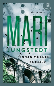 Innan molnen kommer (lättläst) (e-bok) av Mari