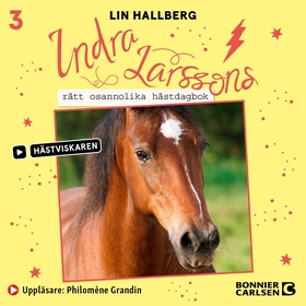 Indra Larssons rätt osannolika hästdagbok (ljud