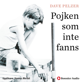 Pojken som inte fanns (ljudbok) av Dave Pelzer