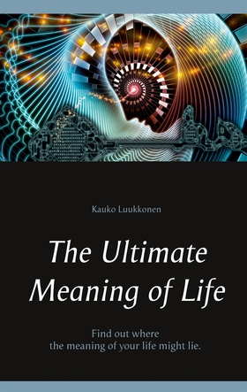 The Ultimate Meaning of Life (e-bok) av Kauko L