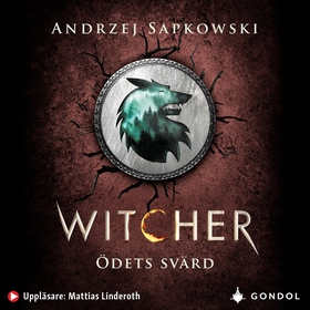 Ödets svärd : berättelser om Geralt av Rivia (l