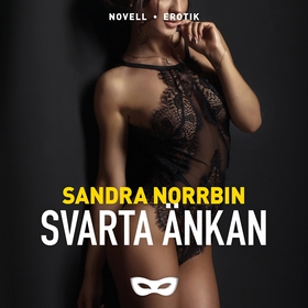 Svarta änkan (ljudbok) av Sandra Norrbin