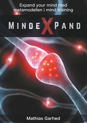 Mindexpand: Metamodellen i Mind Training (e-bok