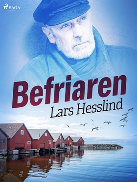 Befriaren (e-bok) av Lars Hesslind
