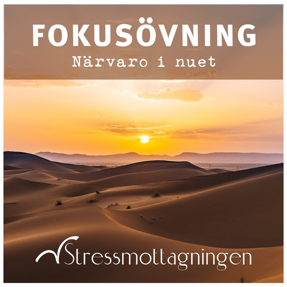 Fokusövning – Närvaro i nuet