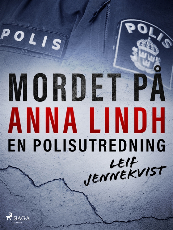 Mordet på Anna Lindh: en polisutredning