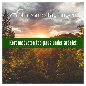 Kort medveten toa-paus under arbetet (ljudbok)