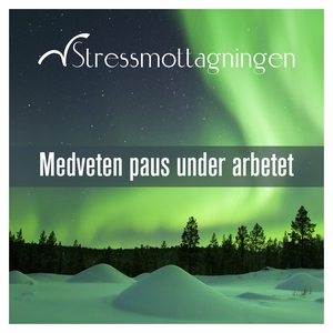 Medveten paus under arbetet (ljudbok) av Stress