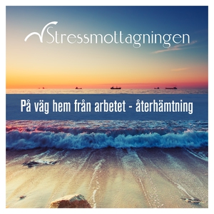 På väg hem från arbetet – Återhämtning (ljudbok