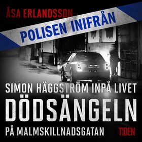 Dödsängeln på Malmskillnadsgatan (ljudbok) av Å