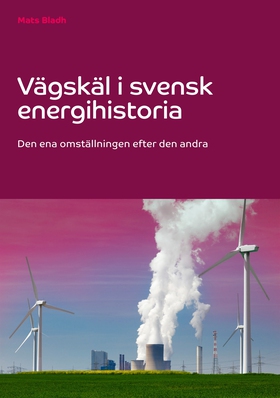 Vägskäl i svensk energihistoria: Den ena omstäl