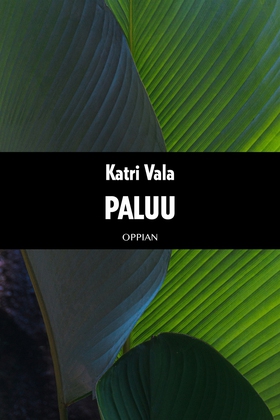 Paluu (e-bok) av Katri Vala