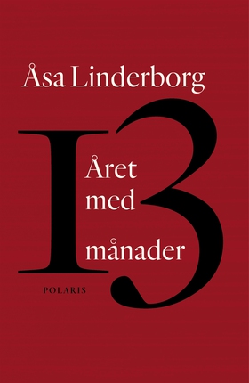 Året med 13 månader (e-bok) av Åsa Linderborg