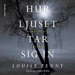 Hur ljuset tar sig in (ljudbok) av Louise Penny